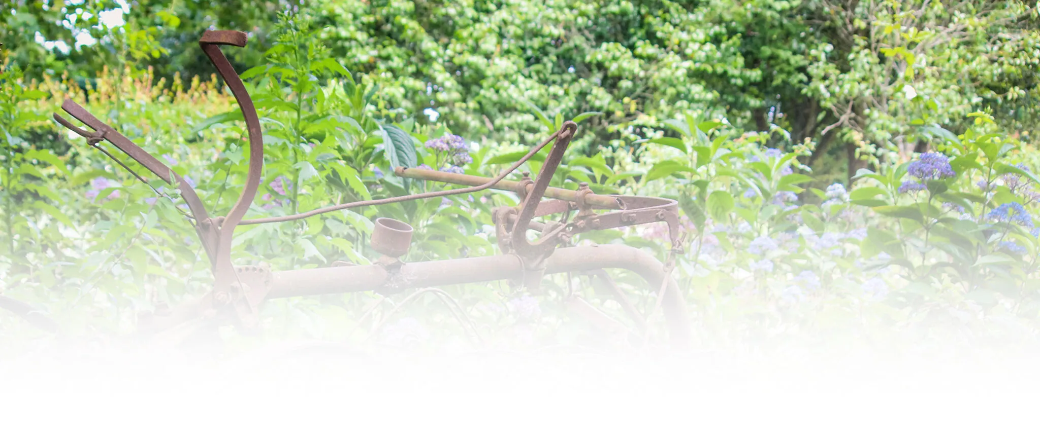 Comox Valley Exhibitions