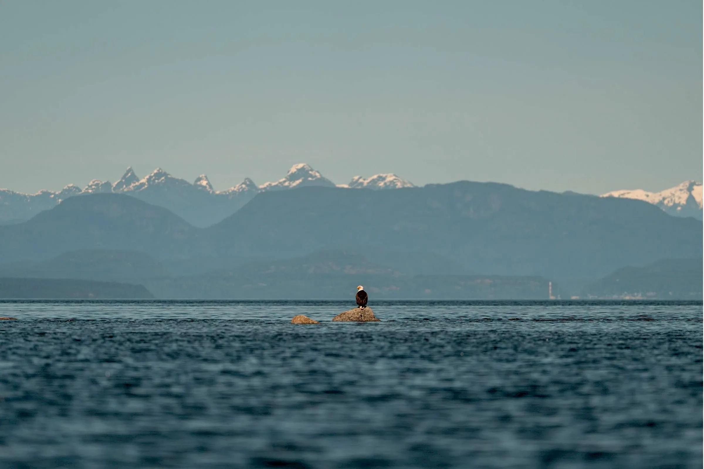 Tourism Comox Valley